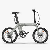 FIIDO D11 2025 Mountain Electric Bike