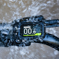 FIIDO D11 2025 Mountain Electric Bike