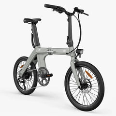 FIIDO D11 2025 Mountain Electric Bike