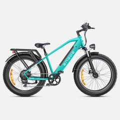 ENGWE E26 Electric Mountain Bike