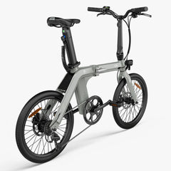 FIIDO D11 2025 Mountain Electric Bike