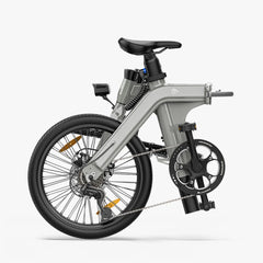 FIIDO D11 2025 Mountain Electric Bike