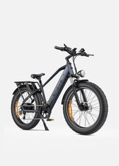 ENGWE E26 Electric Mountain Bike