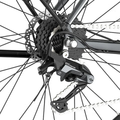 Fafrees F700W Electric Bike