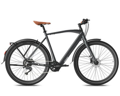 Fafrees F700M Electric Bike