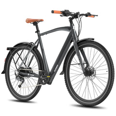 Fafrees F700M Electric Bike