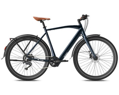 Fafrees F700M Electric Bike