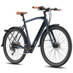Fafrees F700M Electric Bike