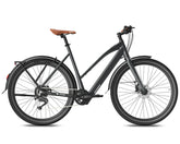 Fafrees F700W Electric Bike