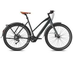 Fafrees F700W Electric Bike