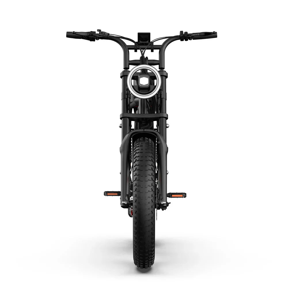 Front view of Black URLIFE T2 Off Road Electric Bike on a white background