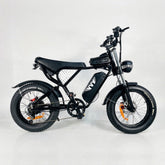 YVY C20 Off-Road E-Bike
