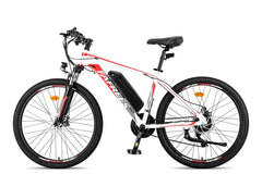 Fafrees 26 Hailong One Electric Bike