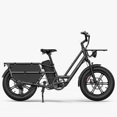 Fiido T2 Longtail Cargo E-Bike - Letscycle UK