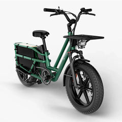 Fiido T2 Longtail Cargo E-Bike - Letscycle UK