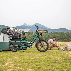 Fiido T2 Longtail Cargo E-Bike - Letscycle UK