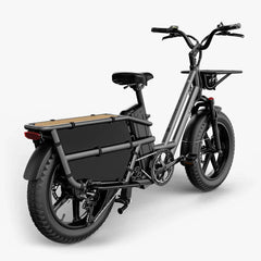 Fiido T2 Longtail Cargo E-Bike - Letscycle UK