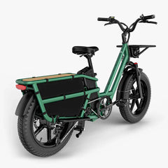 Fiido T2 Longtail Cargo E-Bike - Letscycle UK