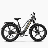 Fiido Titan Robust Cargo Electric Bike - Letscycle UK