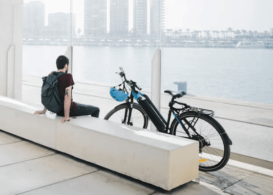 A Comprehensive Guide to Electric Bike Regulations: Licensing, Tax, and Insurance - Letscycle UK