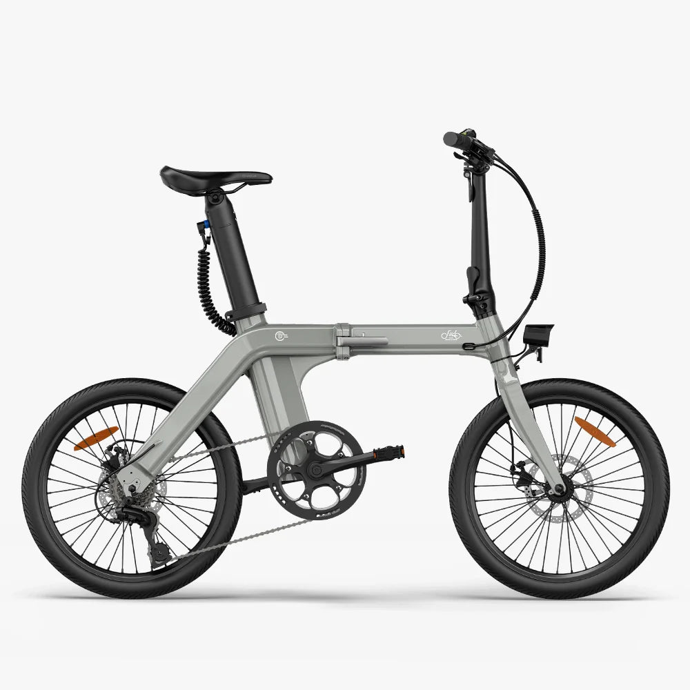 FIIDO D11  2025 Mountain Electric Bike