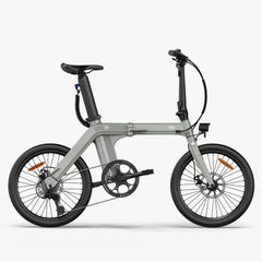 FIIDO D11  2025 Mountain Electric Bike