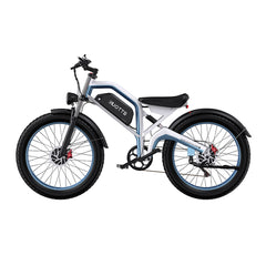 DUOTTS N26 Electric Bike