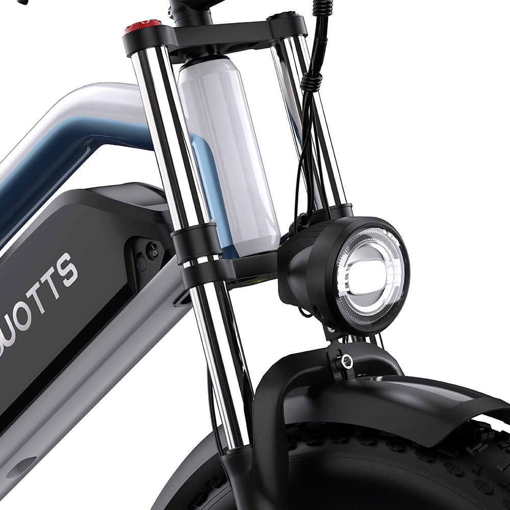 DUOTTS N26 Electric Bike