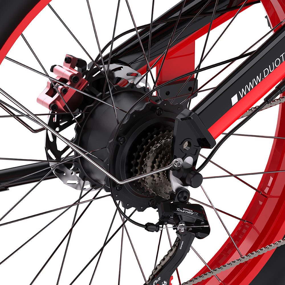 DUOTTS N26 Electric Bike
