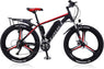 TAOCI- 02 Electric Mountain Bikes