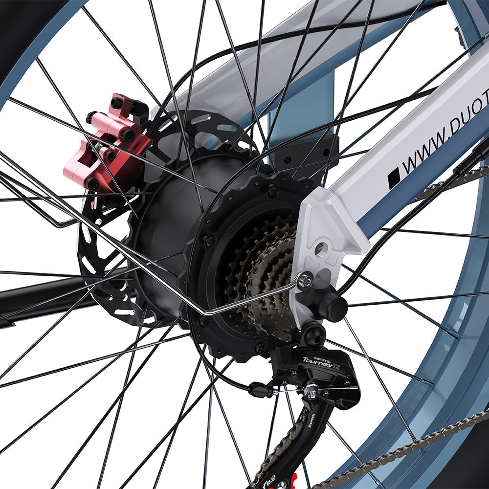 DUOTTS N26 Electric Bike