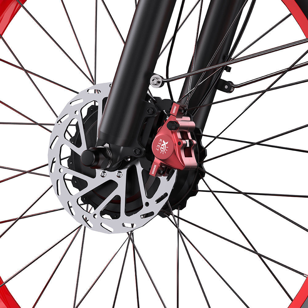 DUOTTS N26 Electric Bike
