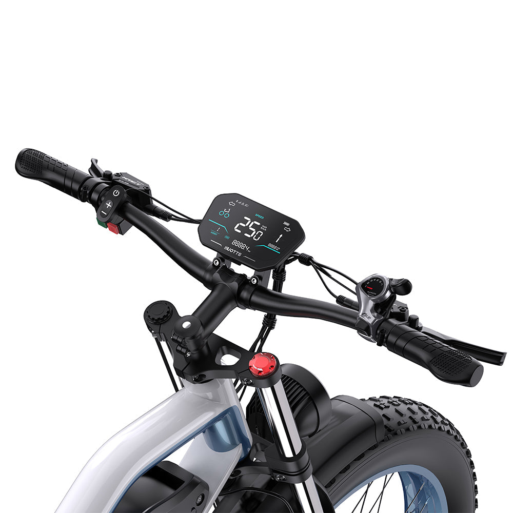 DUOTTS N26 Electric Bike