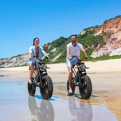 JANSNO ‎X50 Off Road E-Bike