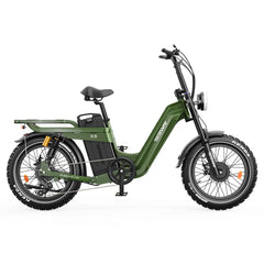 TESWAY X5 AWD Step-Thru Dual Motor Electric Bike